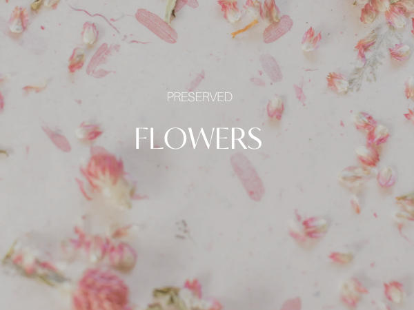 World of Preserved Flowers