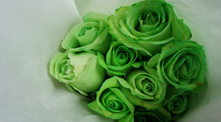 Green Roses Meaning
