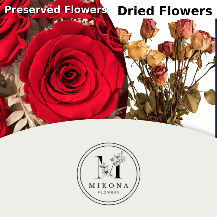 Preserved Flowers vs. Dried Flowers: What’s the Real Difference?