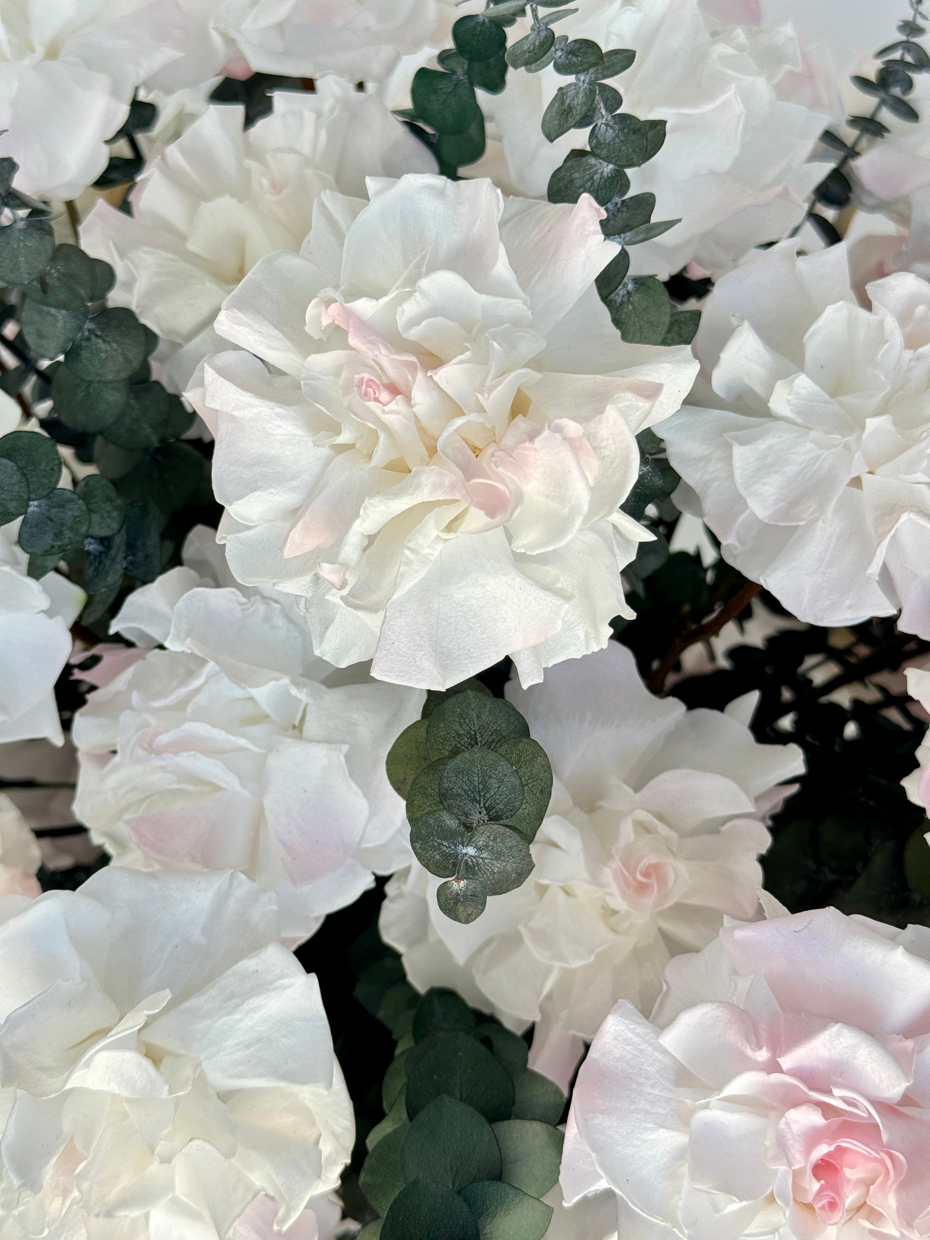 Rose Garden
