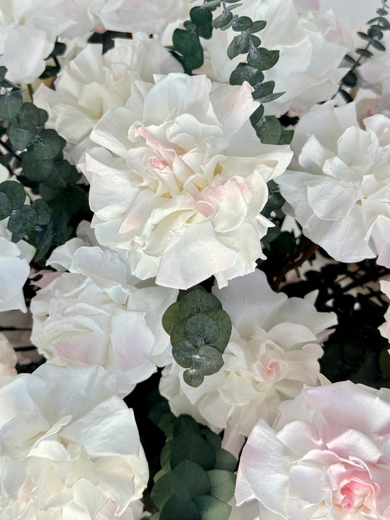 Rose Garden