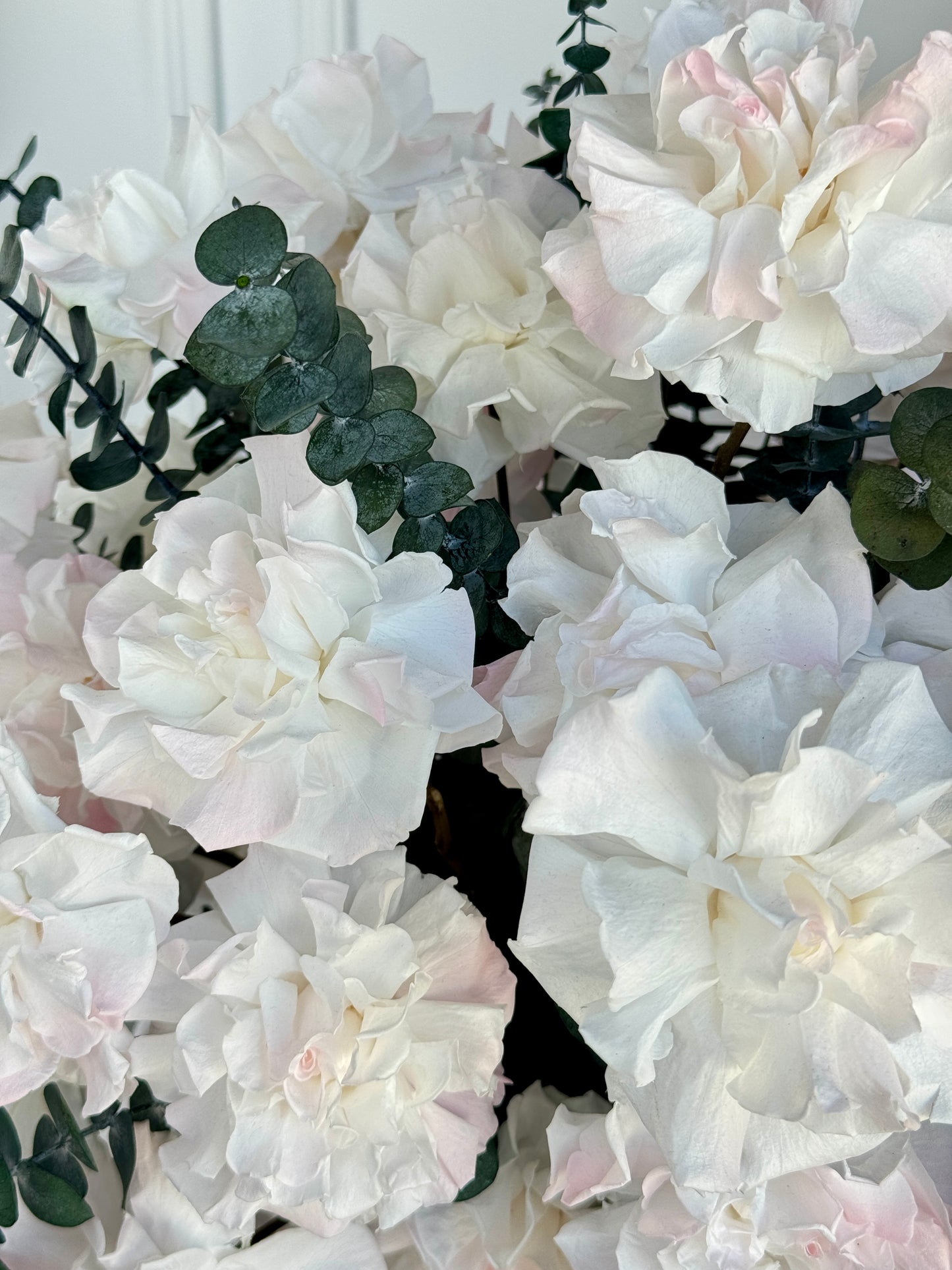 Rose Garden