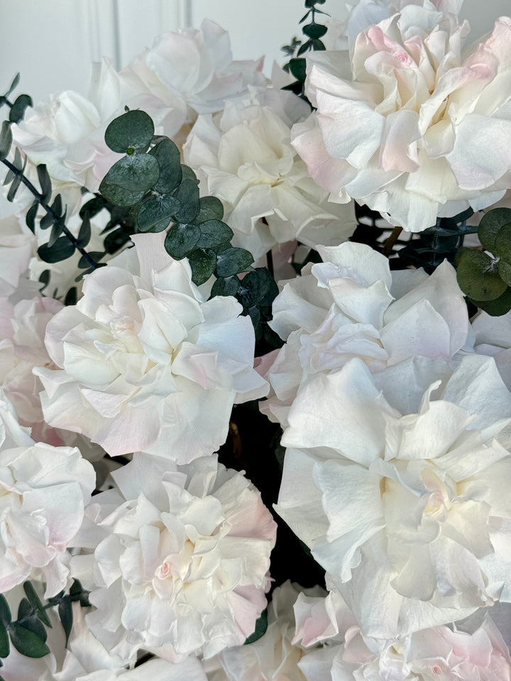 Rose Garden