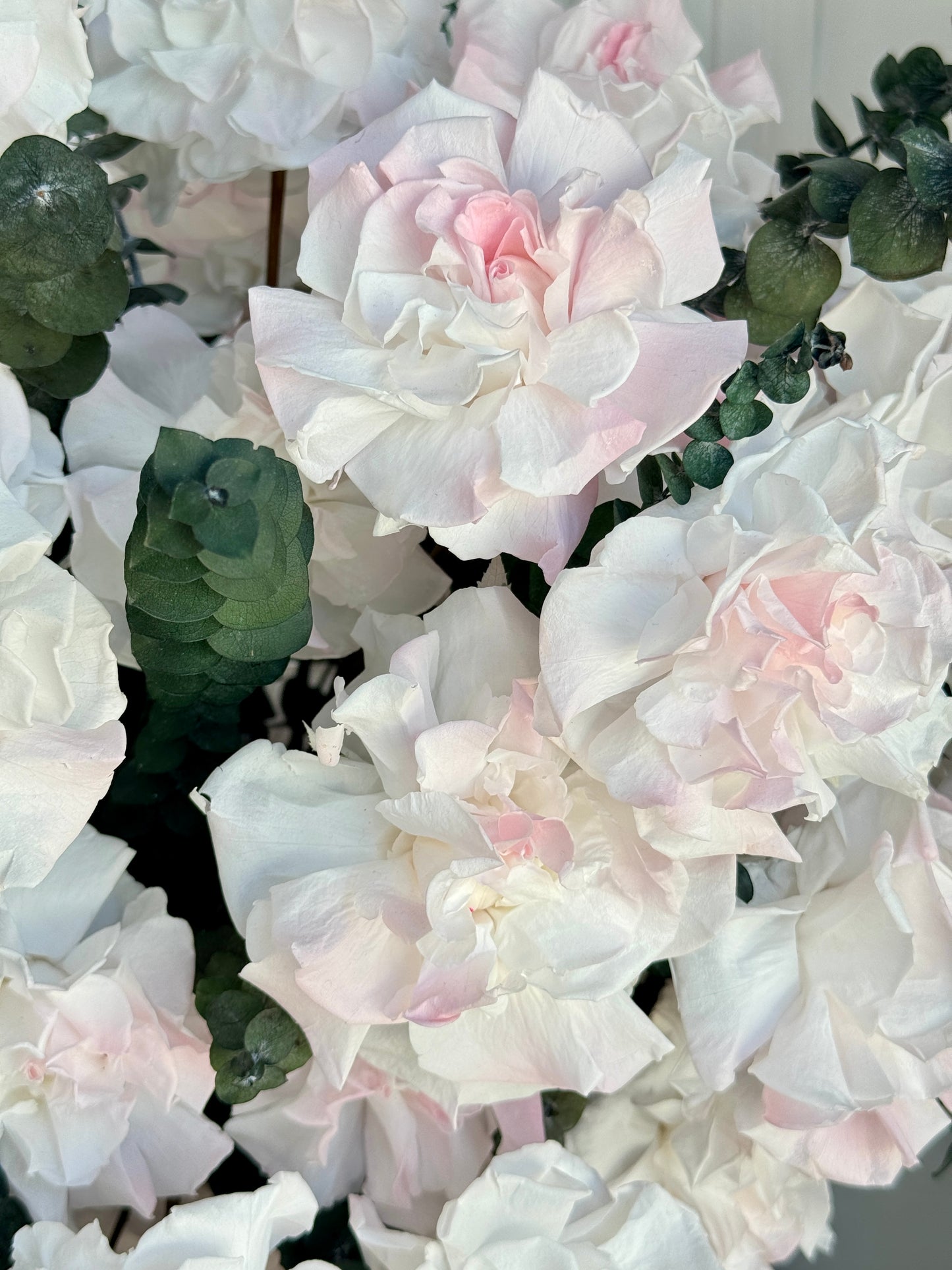 Rose Garden