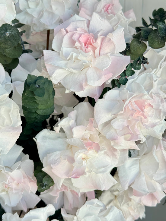 Rose Garden