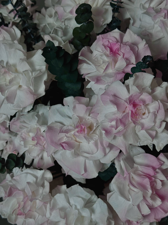 Rose Garden