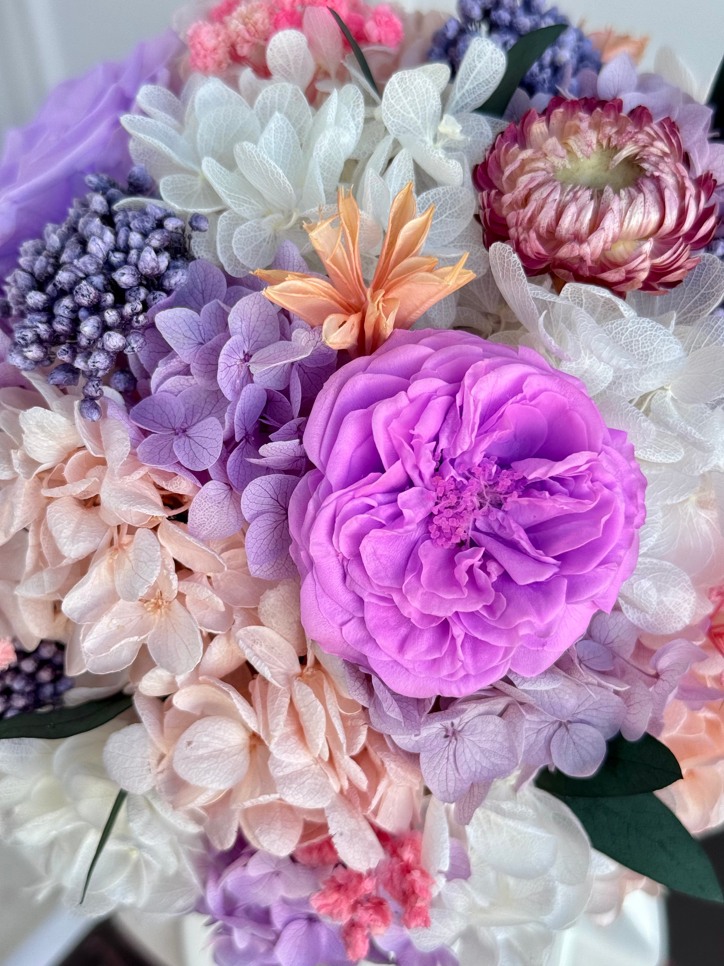 Lilac Whisper