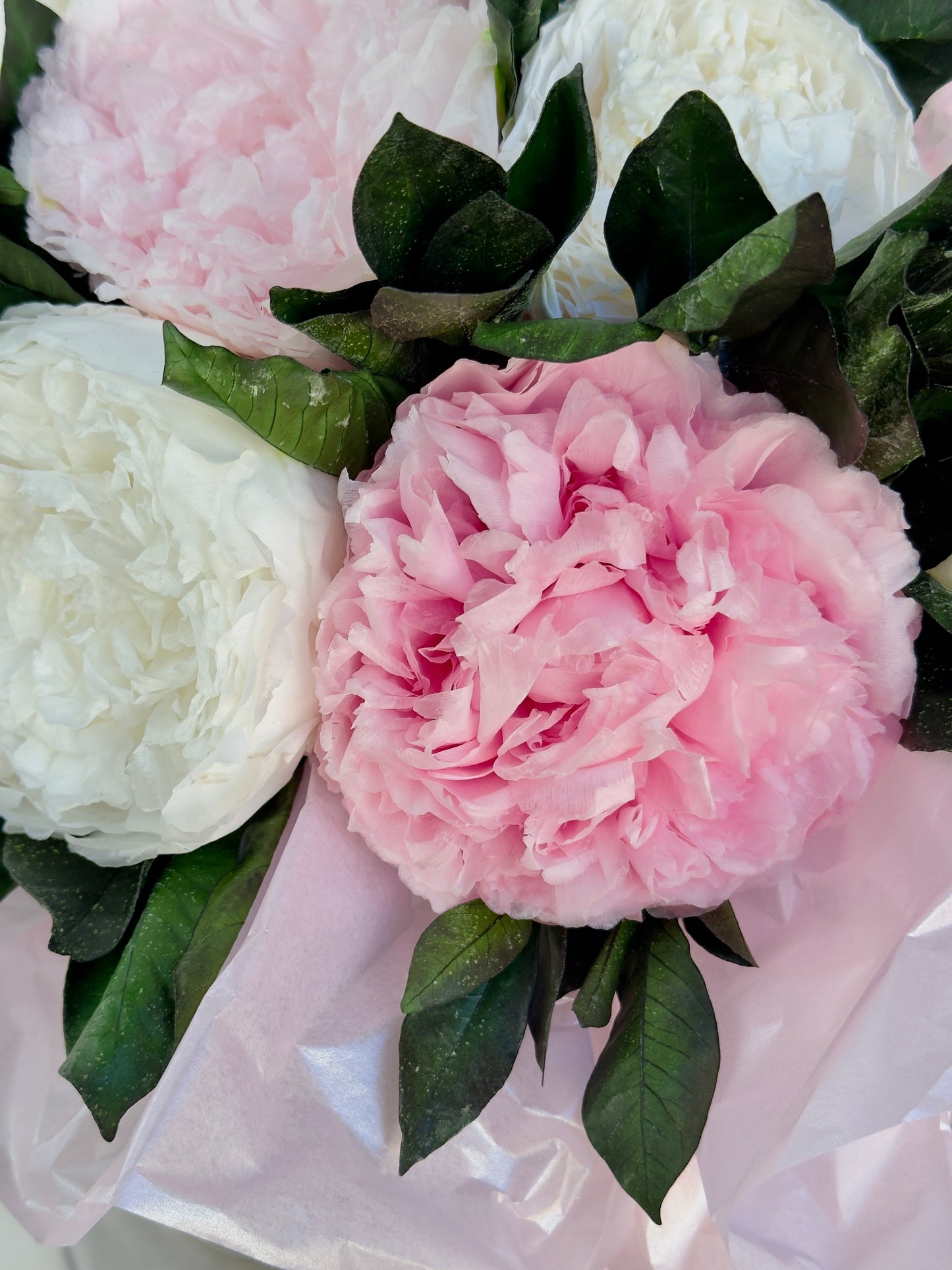 Peony Paradise